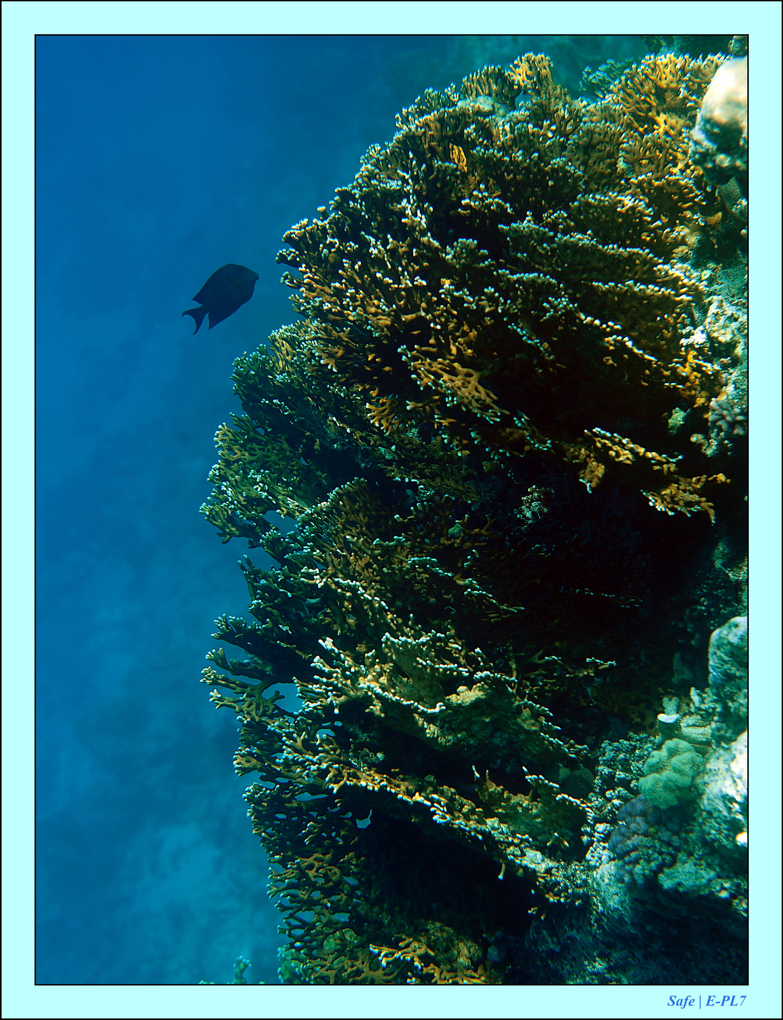 Hurghada - Aout 2021 - 020